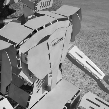 Falcon Precision Robot